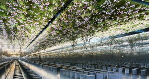 Dior – Haute Couture Printemps/Été 2026