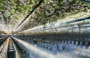 Dior – Haute Couture Printemps/Été 2026