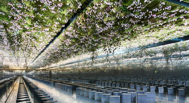 Dior – Haute Couture Printemps/Été 2026